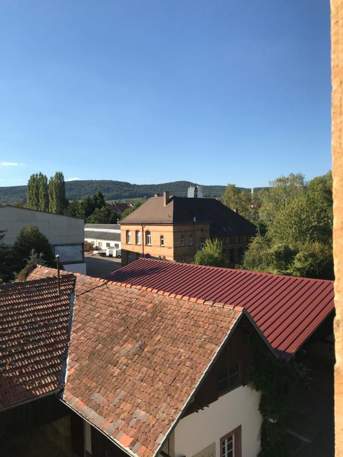 Hotel Weiss Wissembourg Bagian luar foto