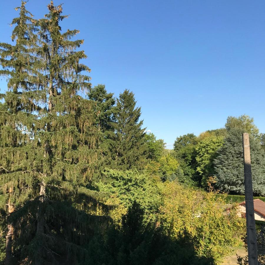 Hotel Weiss Wissembourg Bagian luar foto