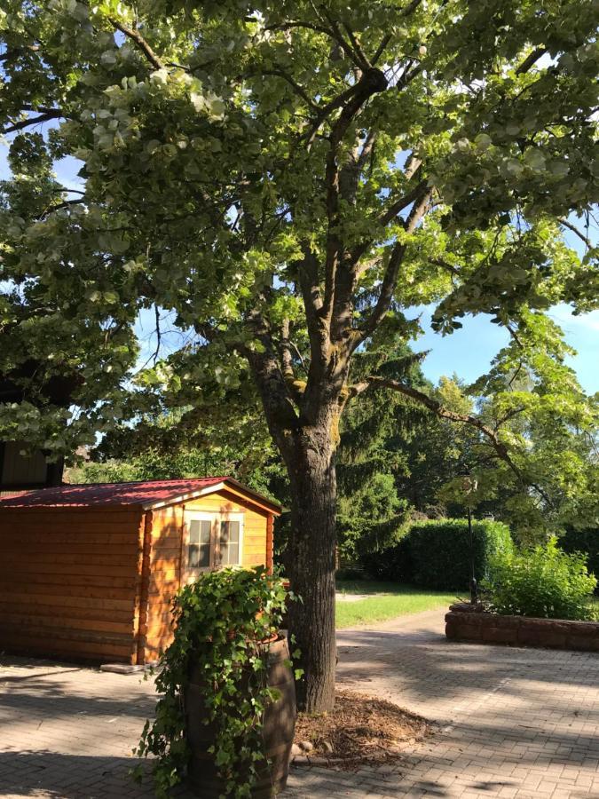 Hotel Weiss Wissembourg Bagian luar foto