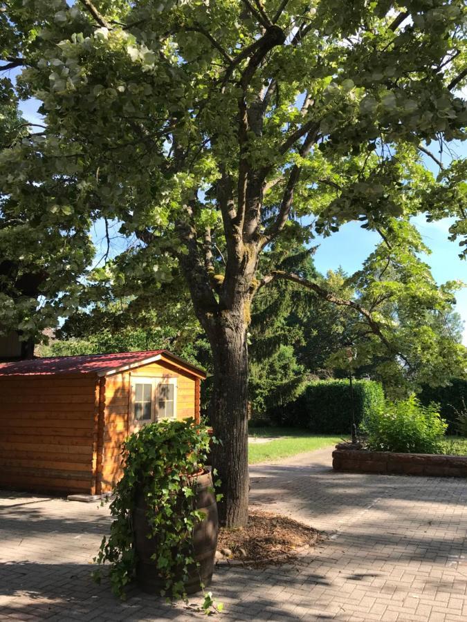 Hotel Weiss Wissembourg Bagian luar foto