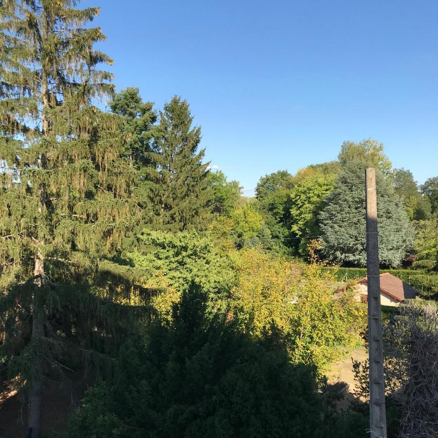 Hotel Weiss Wissembourg Bagian luar foto