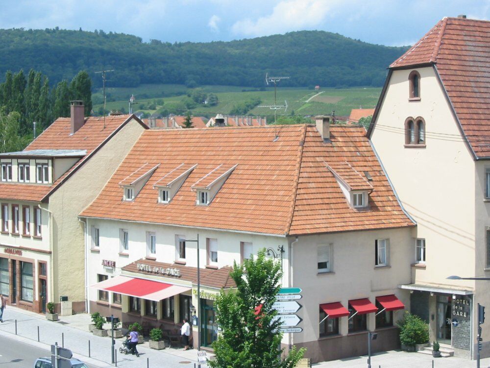Hotel Weiss Wissembourg Bagian luar foto